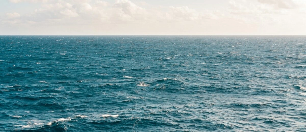 Revealing Mediterranean Sea Biodiversity in Just 2 Months