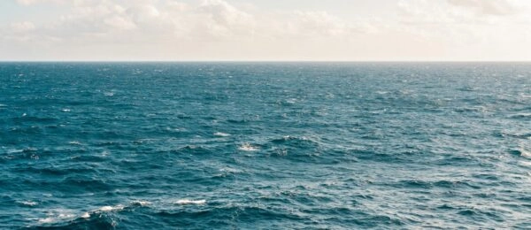 Révéler la Biodiversité de la Mer Méditerranée en Seulement 2 Mois