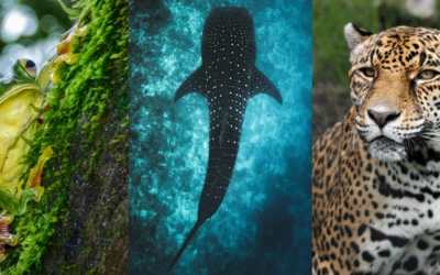 Contactez Notre Équipe d’Experts