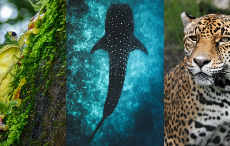 Contact Our Team  of eDNA Experts