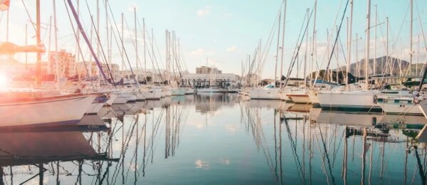 Repenser les Ports Maritimes comme Refuges de Biodiversité