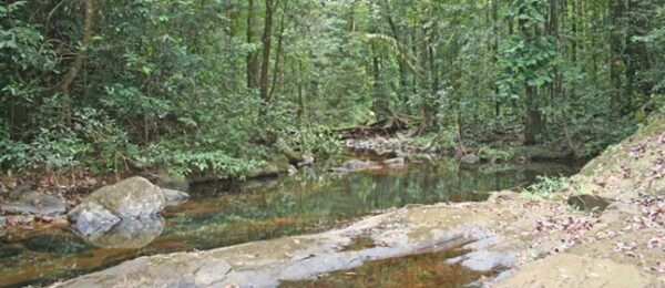 Révéler la Restauration de la Biodiversité Fluviale Après la Fermeture d&rsquo;une Mine