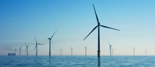 Révéler l&rsquo;Impact de l&rsquo;Éolien Offshore sur la Biodiversité