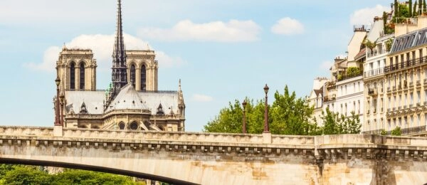 À La Découverte d’un Mollusque Rare et Menacé au Cœur de Paris