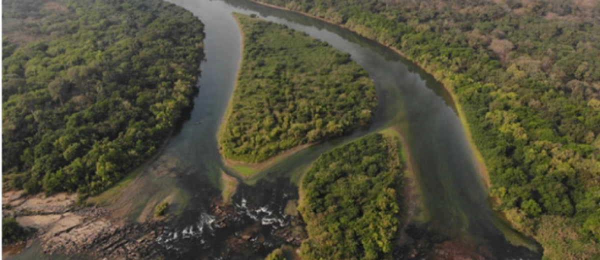 Uncovering the Corubal River (West Africa) as a Unique Biodiversity Hotspot Using a Rapid eDNA Survey