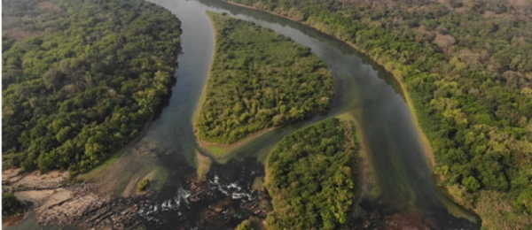 Révéler le Fleuve Corubal Comme un Hotspot Unique de Biodiversité Grâce à une Enquête ADNe Rapide