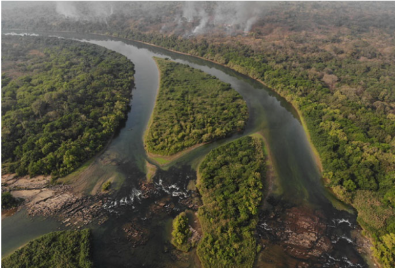 Corubal River Guinea-Bissau — eDNA vertebrate survey
