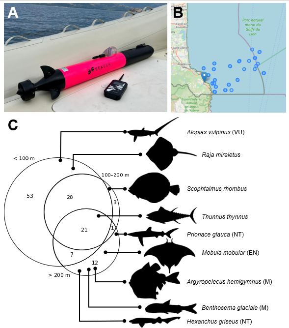 Figure 1 — AUV sampling design, transect locations and Venn diagram