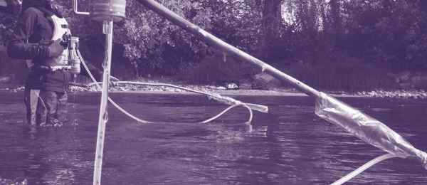 Revealing the Invisible: Vertebrate Biodiversity Along the Loire